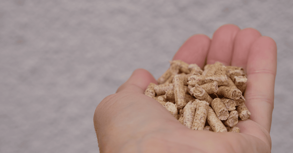 A Complete Guide On How To Use a Pellet Stove 2024